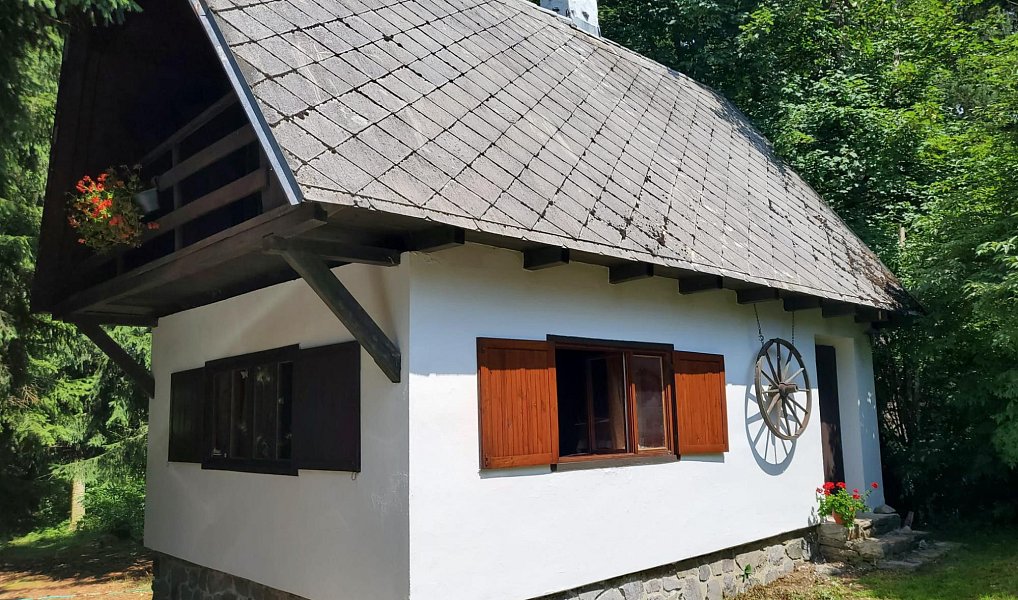 Prodej chaty/chalupy 60 m², Dřešín – náhled fotky 22