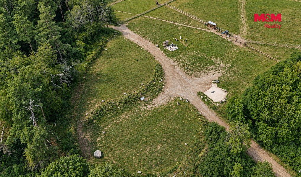 Pronájem pozemku 33 448 m², Planá – náhled fotky 11