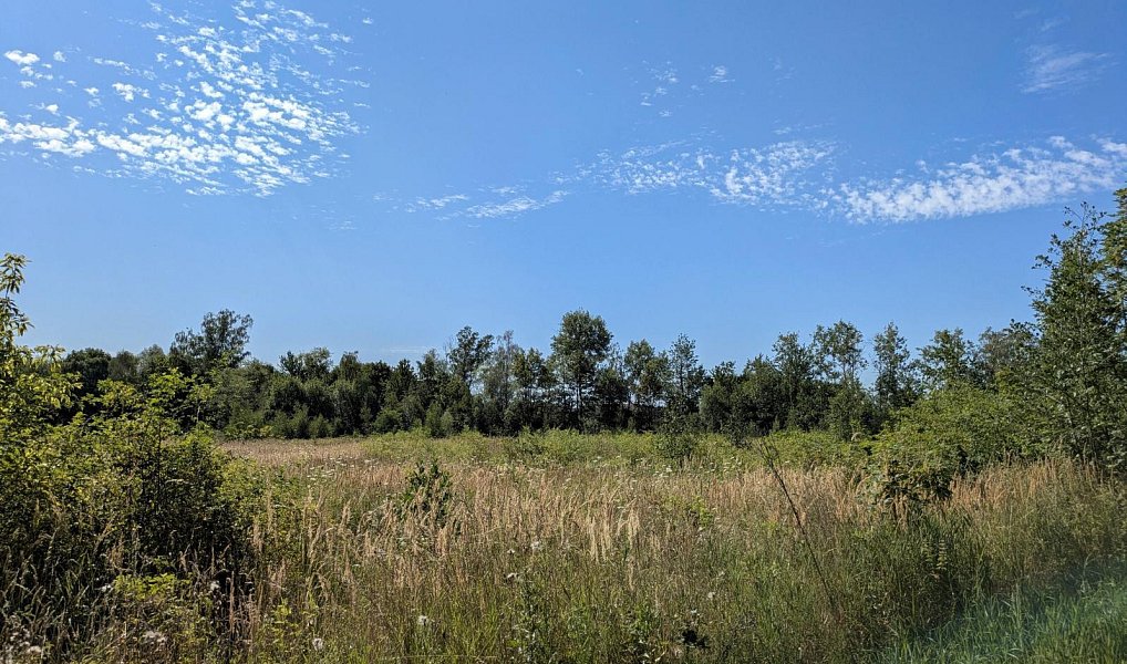 Prodej stavebního pozemku 1 155 m², Mariánské Radčice – náhled fotky 6