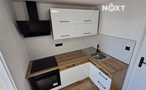Pronájem bytu 2+kk 33 m², Přátelství, Litvínov - Hamr, okres Most