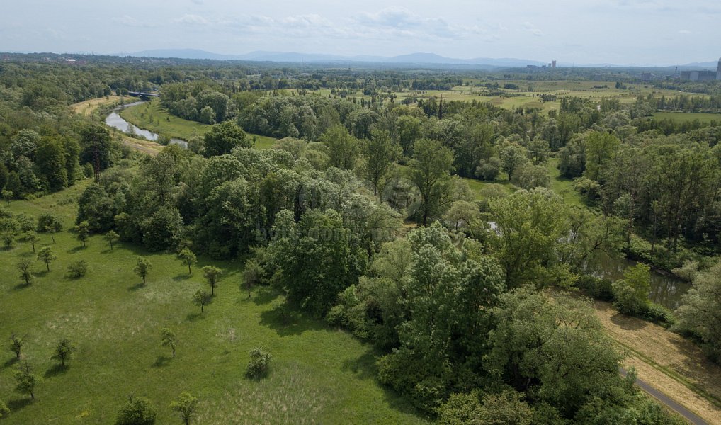 Prodej lesa 3 637 m², Karviná – náhled fotky 7