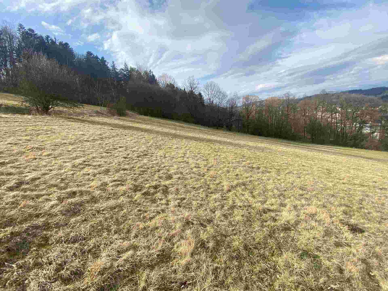 Prodej pole 9 517 m² – fotografie 2