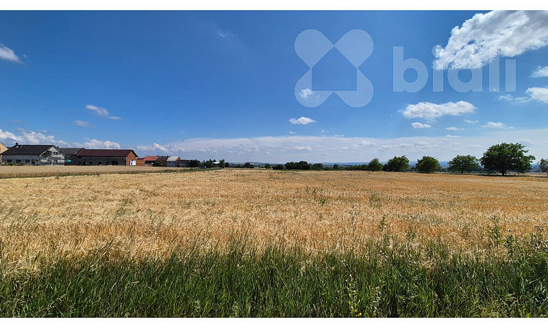 Prodej pole 773 m²