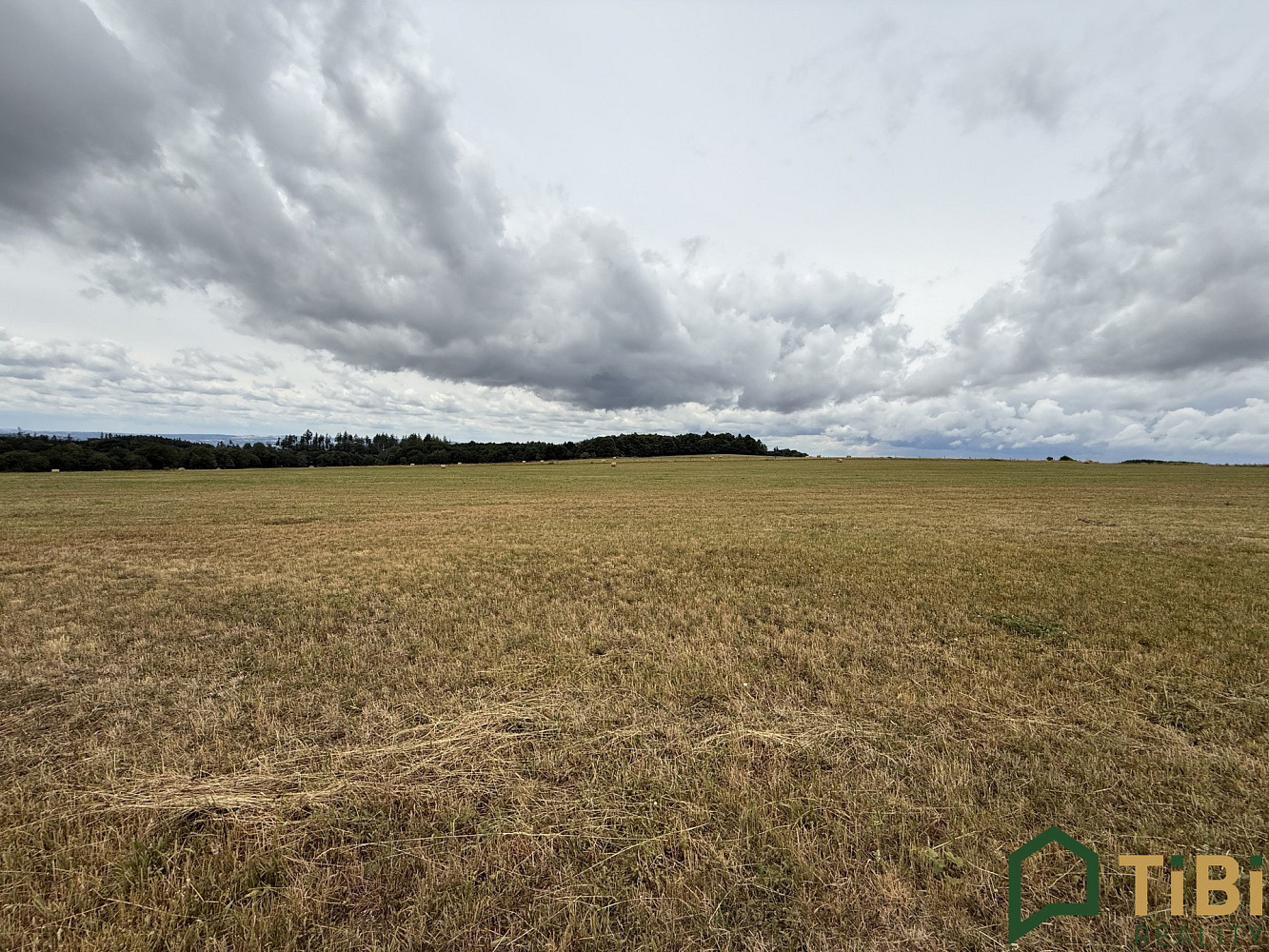 Prodej pole 2 000 m² — photo 3