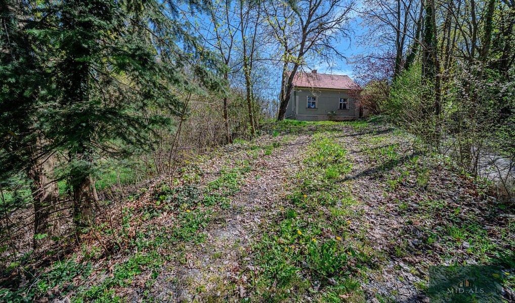 Prodej domu 200 m² s pozemkem 1 891 m², Plasy – náhled fotky 26