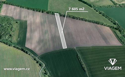 Prodej pole 7 605 m², Šumice, okres Uherské Hradiště