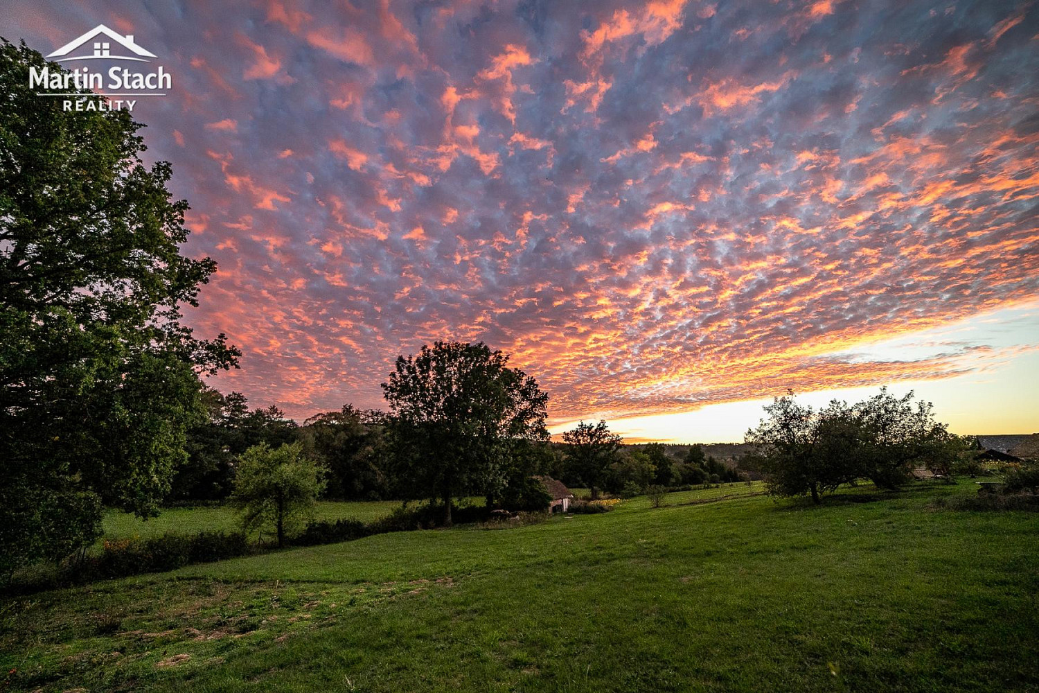 Fotka 8 z 17