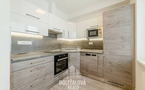Pronájem bytu 3+kk 66 m², Brtnická, Jihlava