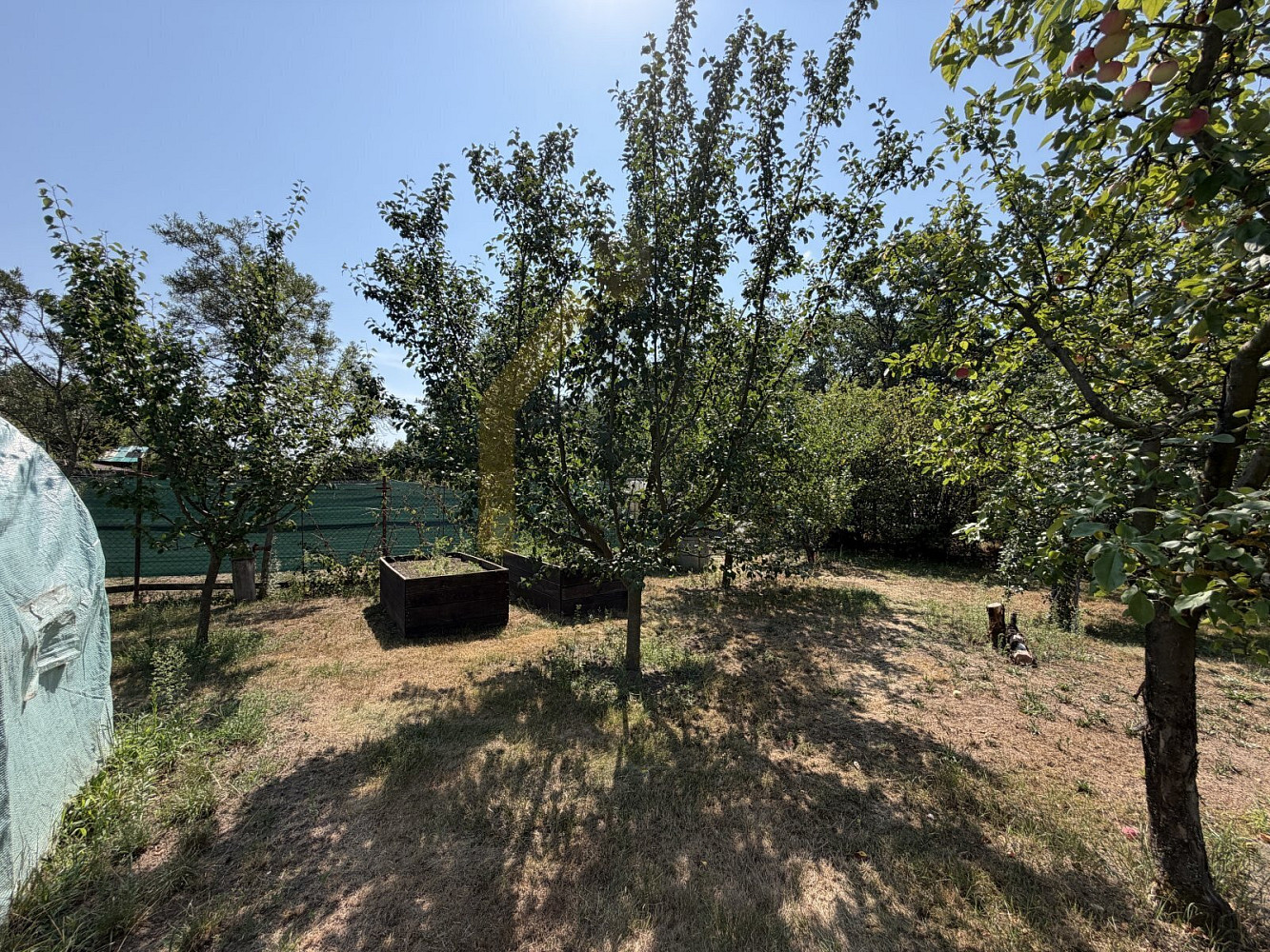 Fotka 11 z 18