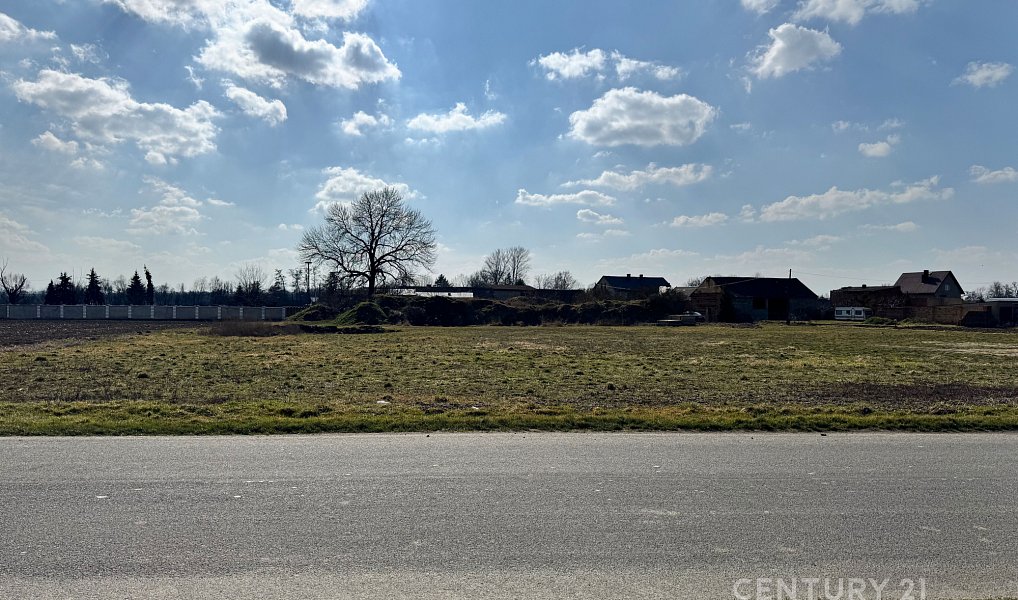 Prodej stavebního pozemku 5 000 m², Opava – náhled fotky 6