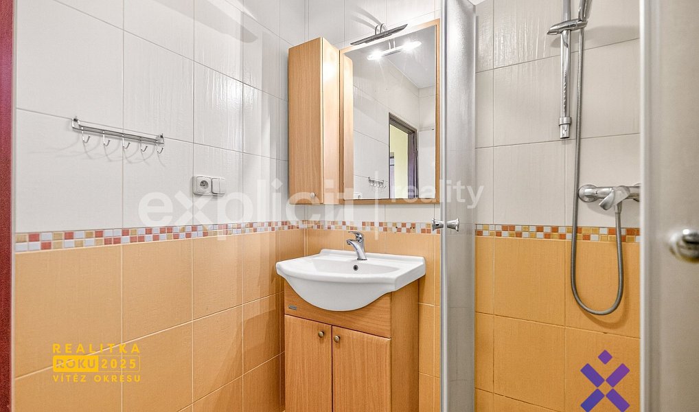 Prodej domu 229 m² s pozemkem 596 m², Vřesovice – náhled fotky 13