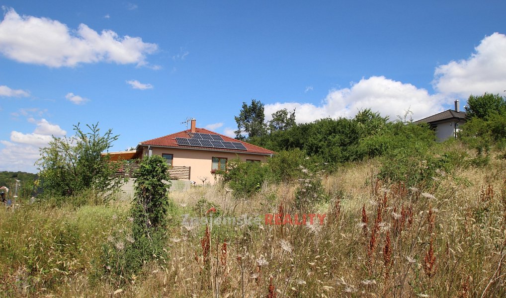 Prodej stavebního pozemku 2 679 m², Dyje – náhled fotky 4