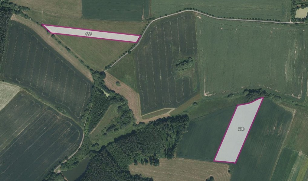 Prodej pole 61 363 m², Bernartice – náhled fotky 2