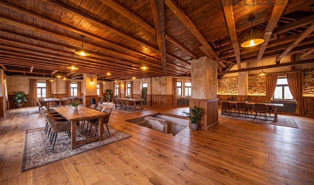Prodej chaty/chalupy 700 m² s pozemkem 4 770 m², Hostouň – náhled fotky 9