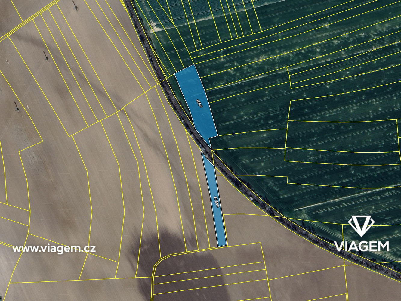 Prodej pole 4 755 m² – fotografie 4