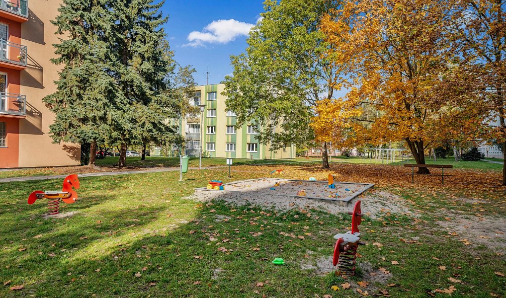 Prodej bytu 2+1 53 m², Plzeň – náhled fotky 11