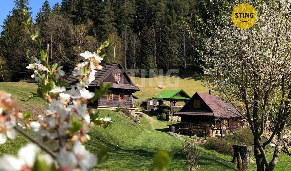 Prodej domu 2 989 m² s pozemkem 17 580 m², Hutisko-Solanec – fotka 1 z 30