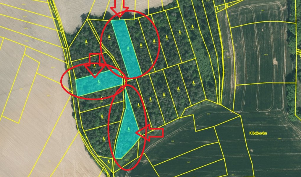 Prodej lesa 5 759 m², Hradiště – náhled fotky 12