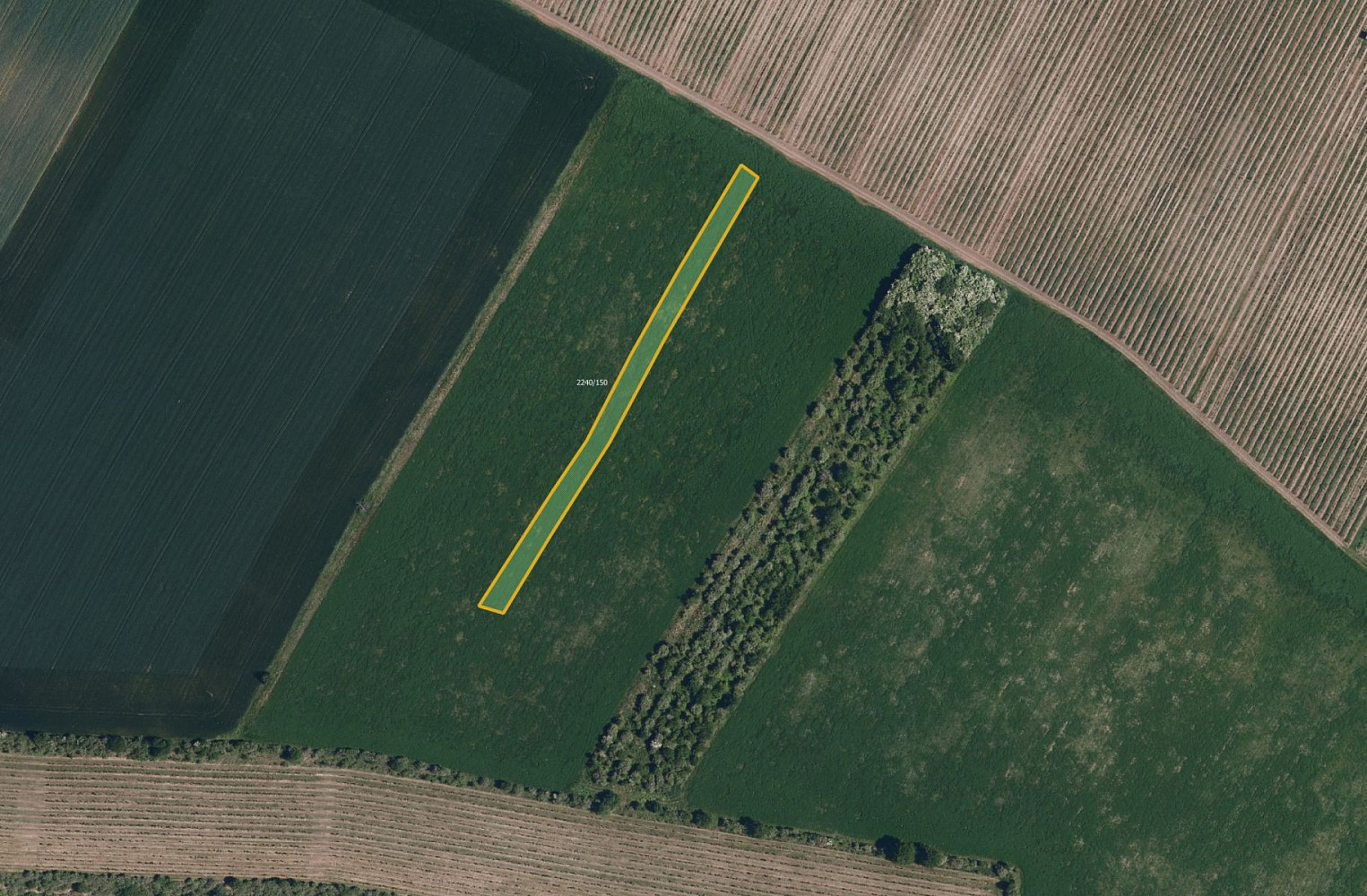 Prodej pole 6 586 m²