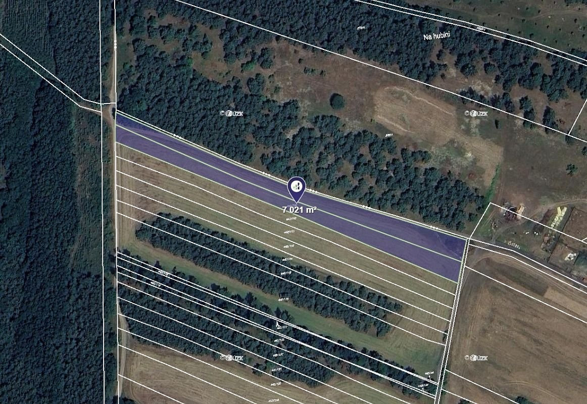 Prodej pole 7 021 m²