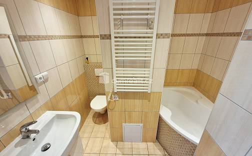 Pronájem bytu 1+1 35 m², Bořivojova, Roudnice nad Labem, okres Litoměřice