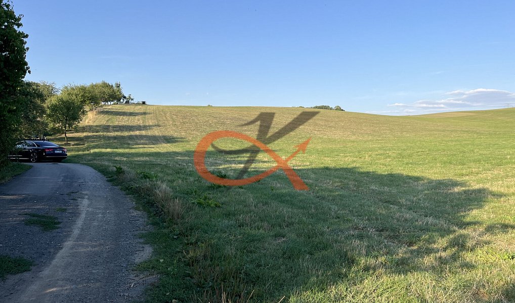 Prodej louky 2 325 m², Lešná – náhled fotky 7