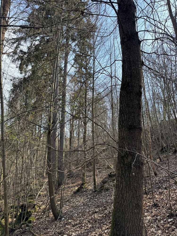 Fotka 17 z 20