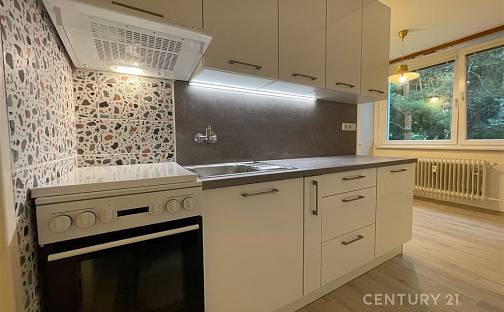 Pronájem bytu 2+1 52 m², Jožky Jabůrkové, Brno - Komín