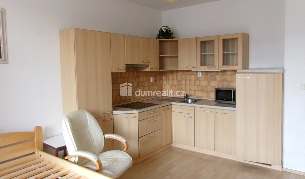 Pronájem bytu 1+kk 39 m², Mladá Boleslav – náhled fotky 8