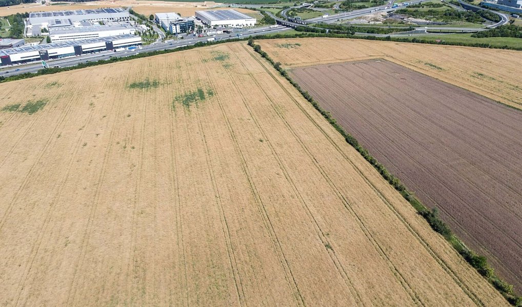 Prodej pole 17 034 m², Dobřejovice – náhled fotky 4