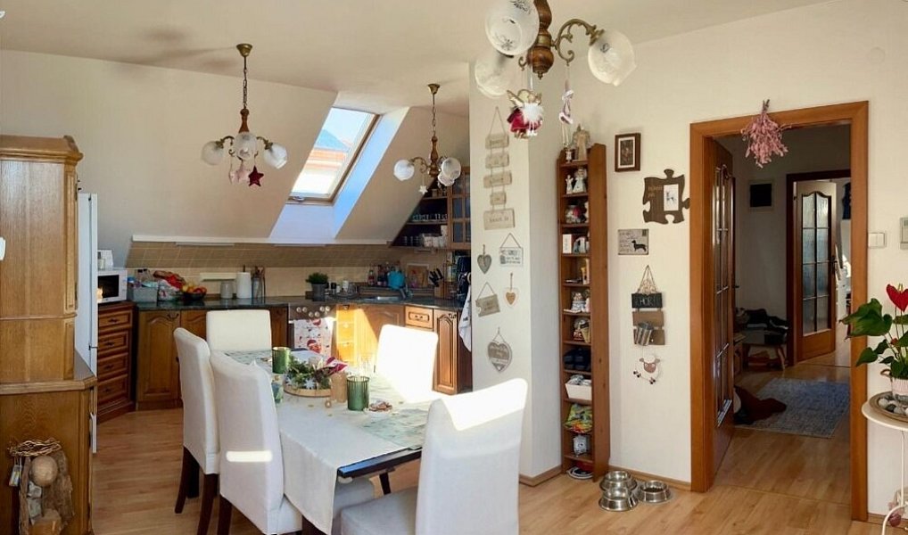 Prodej domu 220 m² s pozemkem 1 093 m², Pelhřimov – náhled fotky 11