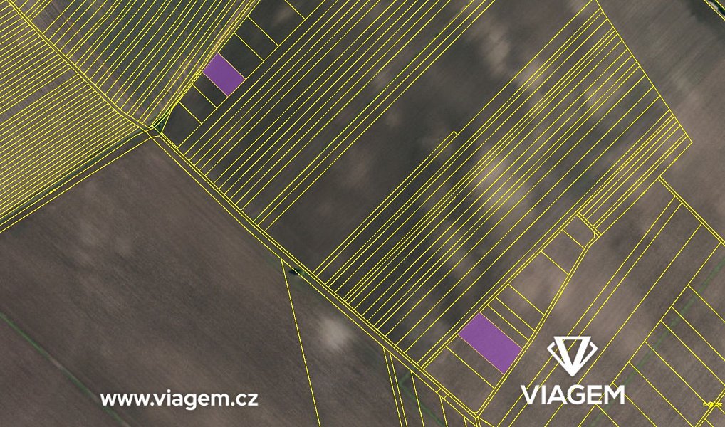 Prodej pole 1 772 m², Velké Němčice – náhled fotky 4
