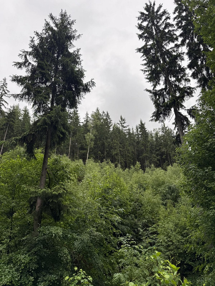 Fotka 17 z 25