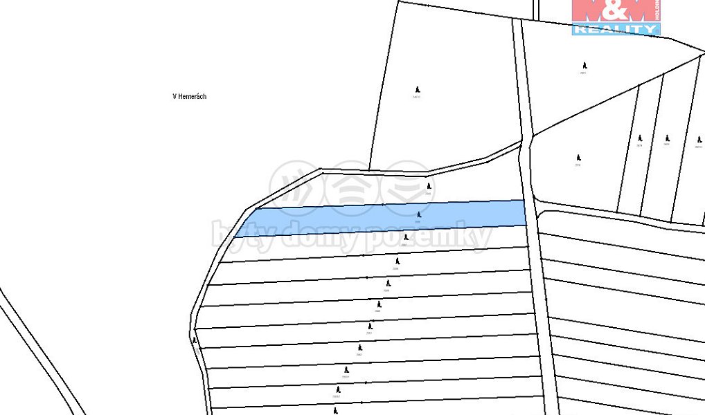 Prodej lesa 4 751 m², Bechyně – náhled fotky 3