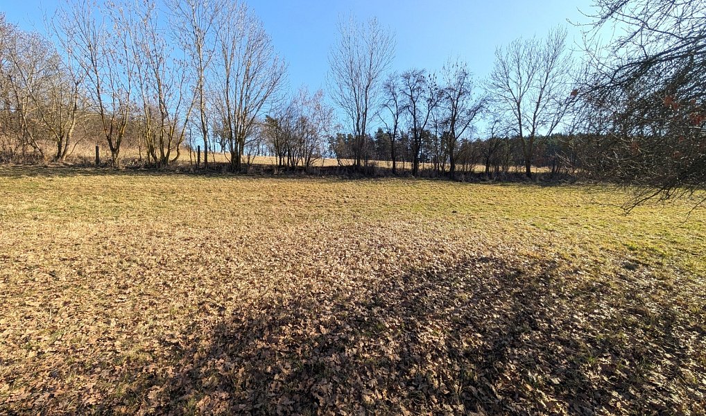 Prodej stavebního pozemku 4 553 m², Bílsko – náhled fotky 5