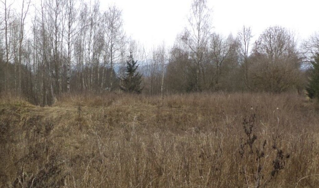 Prodej pozemku, 1390 m², Český Krumlov, Horní Planá