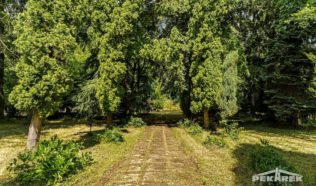 Prodej ubytovacího objektu 1 400 m², Samopše – náhled fotky 30