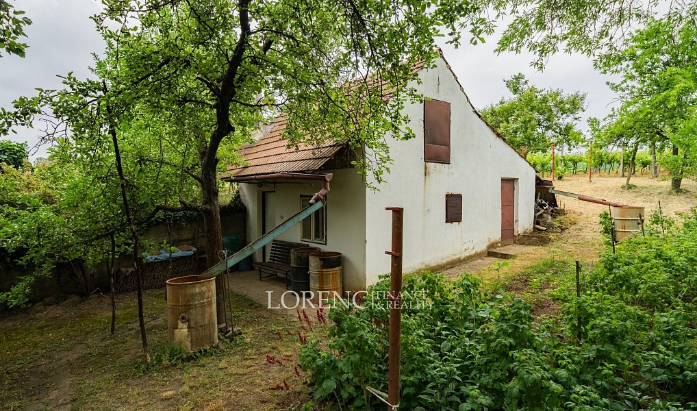 Prodej domu 104 m² s pozemkem 1 247 m², Nový Poddvorov – náhled fotky 4