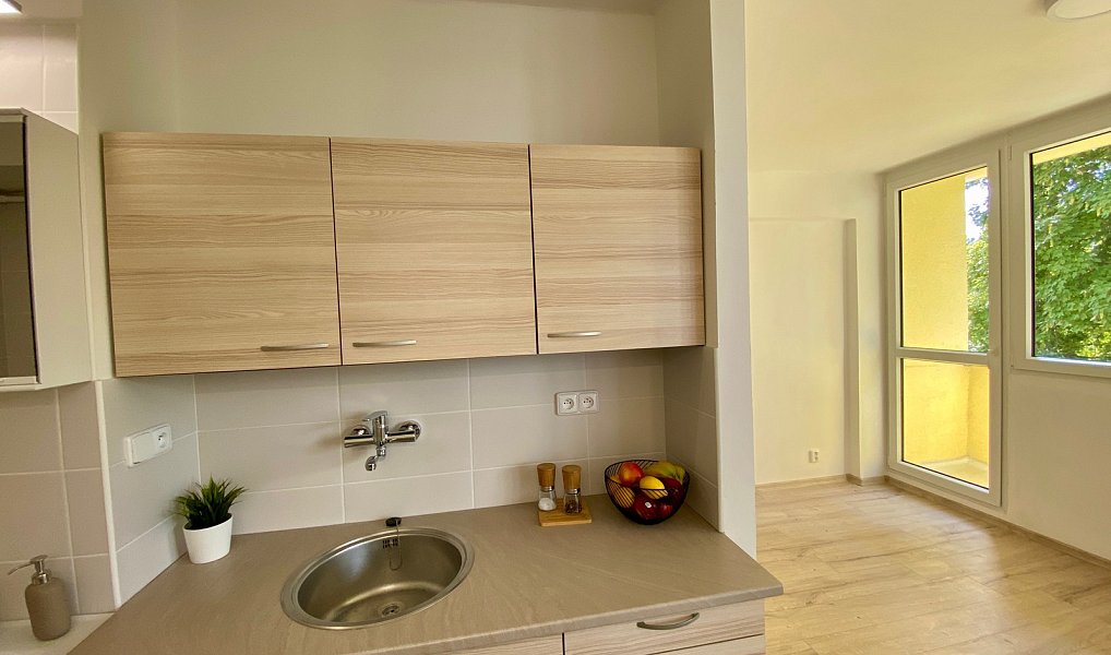 Pronájem bytu 1+kk 37 m², Mladá Boleslav – fotka 1 z 11