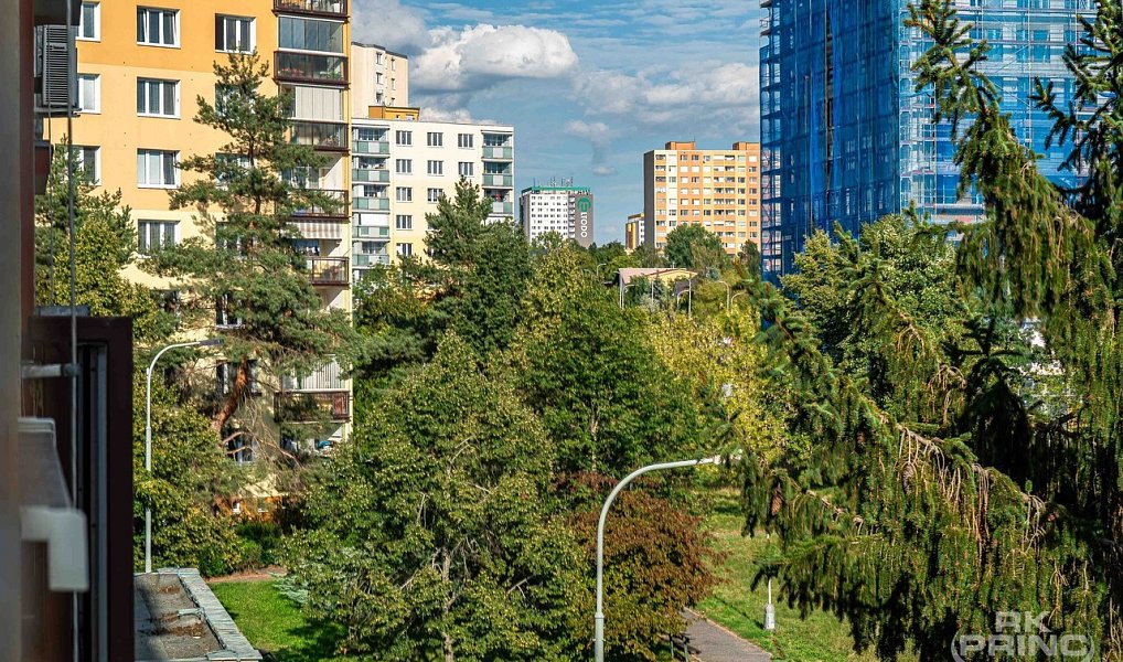 Prodej bytu 1+1 46 m², Praha – náhled fotky 19