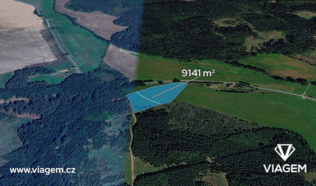 Prodej pole 9 141 m², Přívětice – fotka 1 z 5