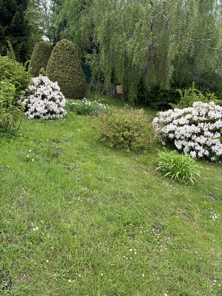 Prodej domu 150 m² s pozemkem 216 m² — photo 4
