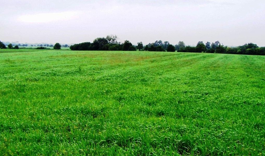 Prodej skladovacích prostor 6 000 m², Mohelnice – náhled fotky 3