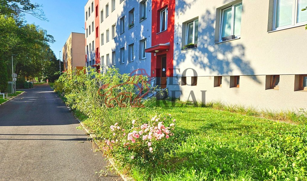 Prodej bytu 3+1 55 m², Nový Jičín – náhled fotky 4