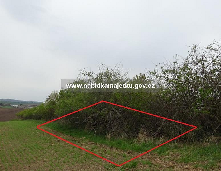 Prodej pole 918 m² – fotografie 4
