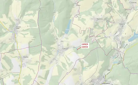 Dražba lesa 3 392 m², Ludkovice