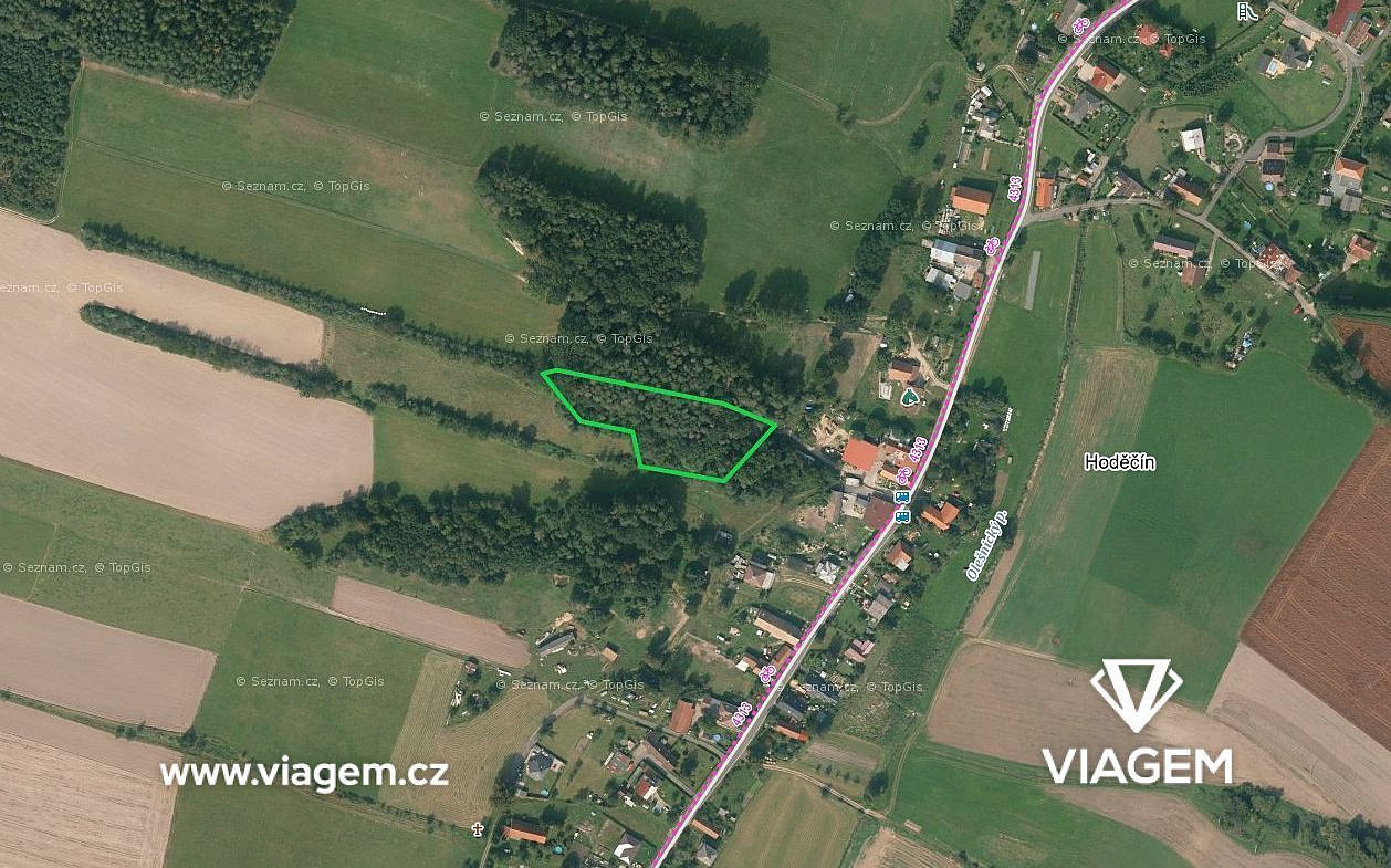 Prodej lesa 292 m²