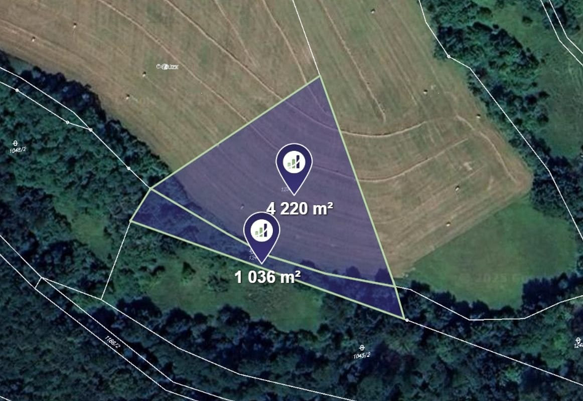 Prodej pole 5 256 m²