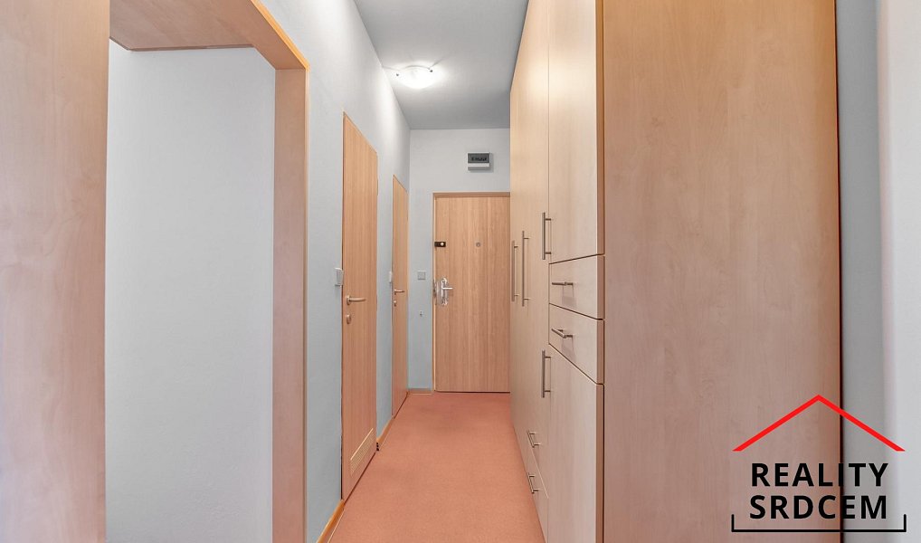 Pronájem bytu 2+1 55 m², Frýdek-Místek – náhled fotky 15