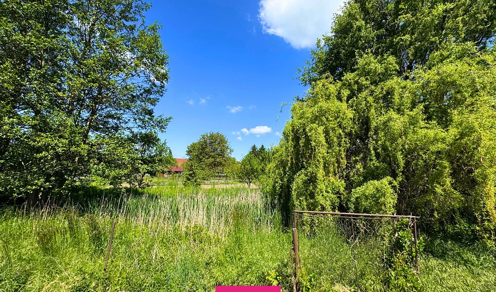 Prodej stavebního pozemku 1 590 m², Nemotice – náhled fotky 8